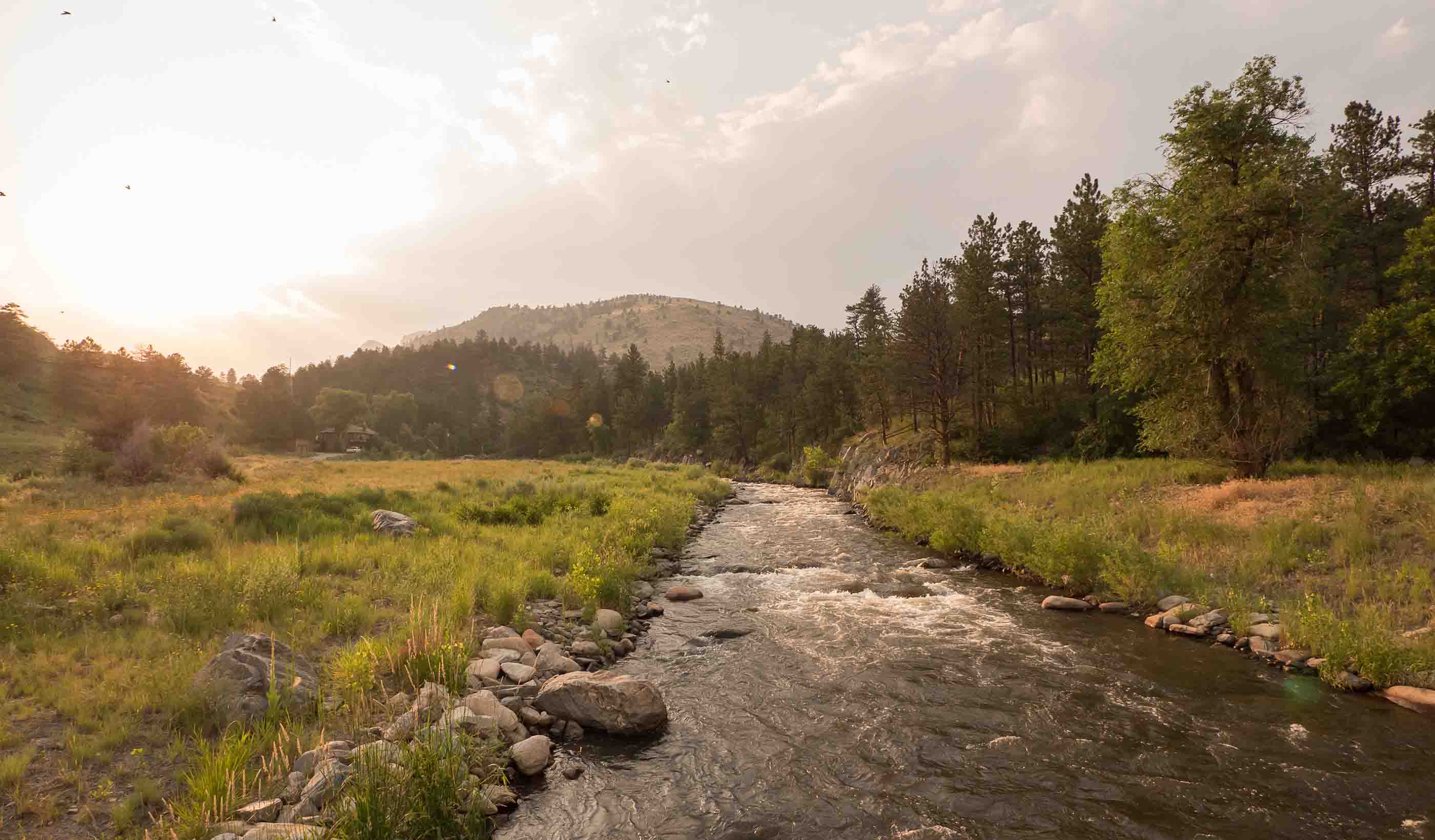 Ecosystem Restoration